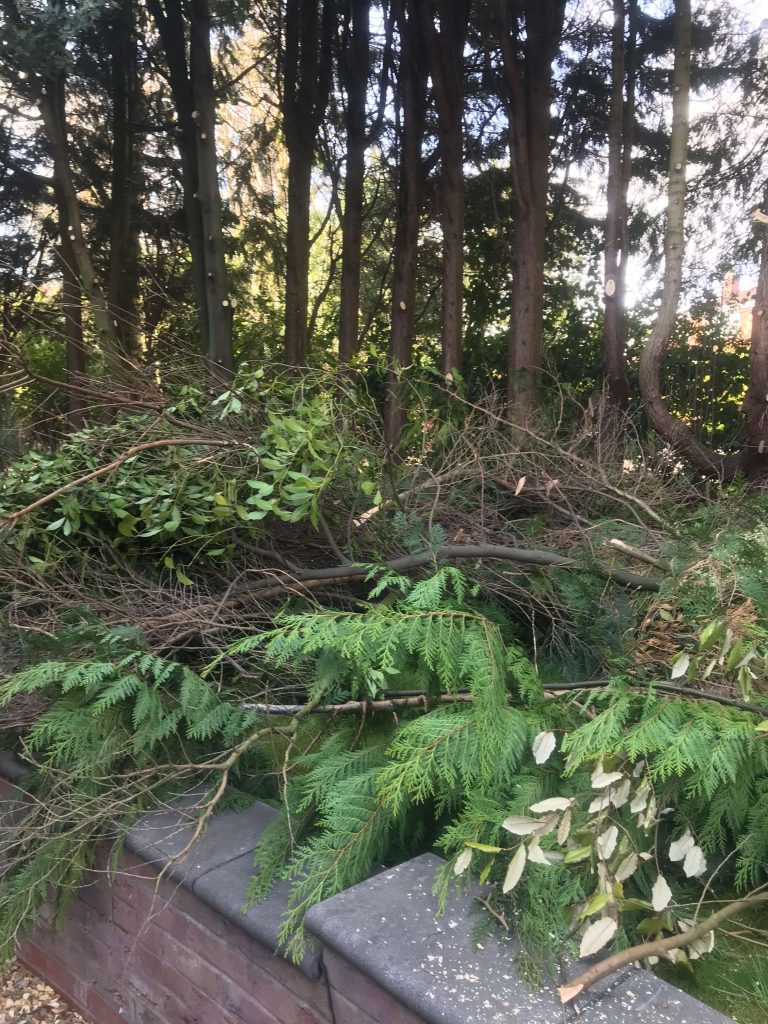 Soft landscaping Ormskirk