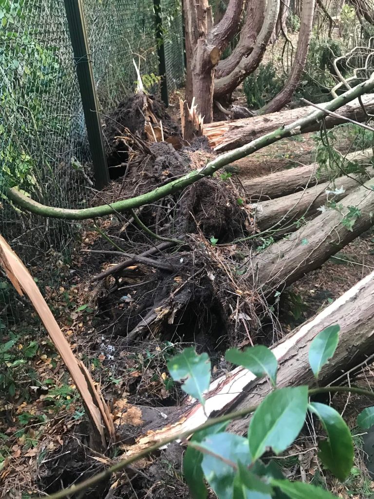 Soft landscaping Ormskirk