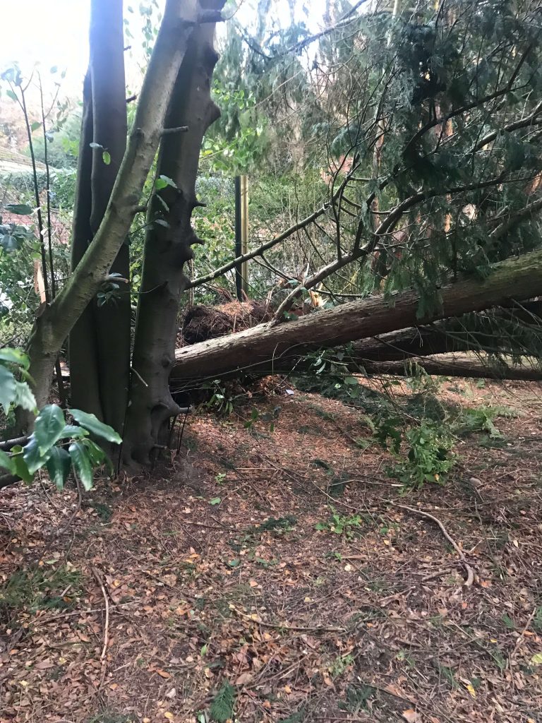 Soft landscaping Ormskirk